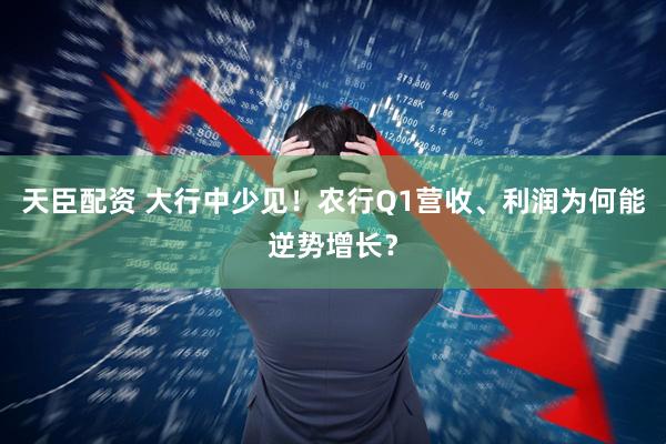 天臣配资 大行中少见！农行Q1营收、利润为何能逆势增长？