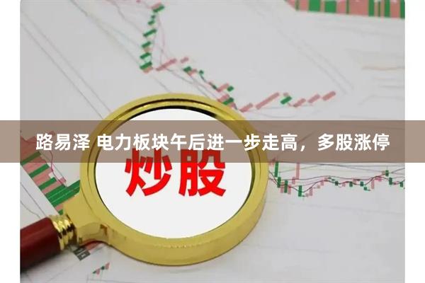 路易泽 电力板块午后进一步走高，多股涨停