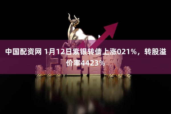 中国配资网 1月12日紫银转债上涨021%，转股溢价率4423%